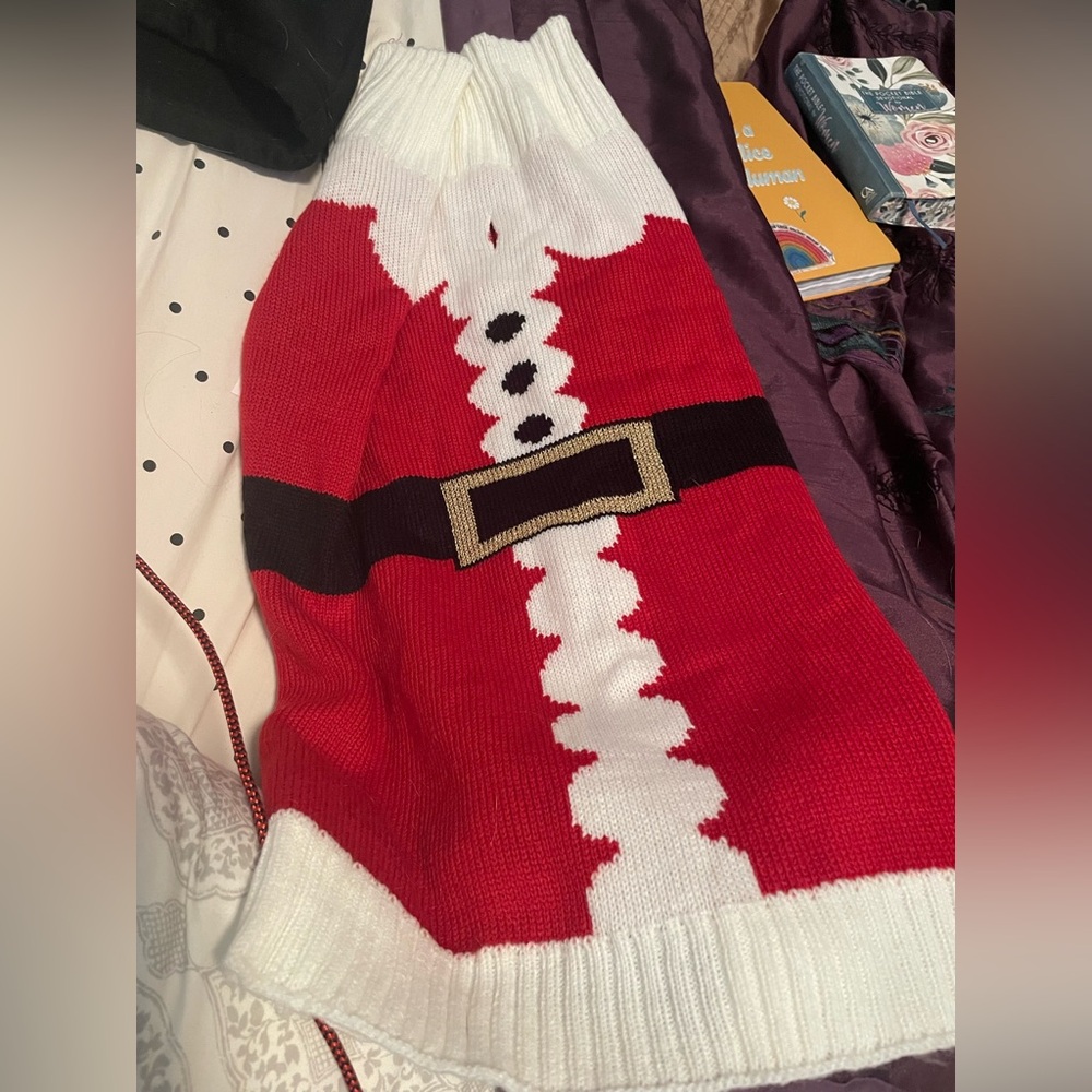 Dog  Red Santa Sweater